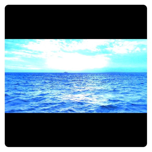 Meet your Posher, Amy - Picture 1 of 2